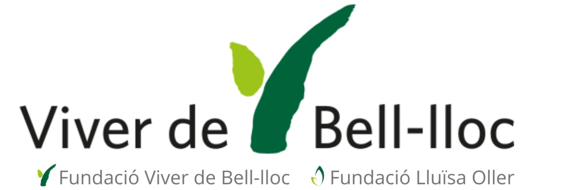 Servei de Suport TIC Viver de Bell-lloc